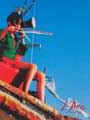 Hwal - 8 x 10 Color Photo #3