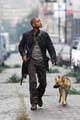 I Am Legend - 8 x 10 Color Photo #1