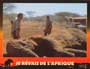 I Dreamed of Africa - 8 x 10 Color Photo #3