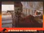 I Dreamed of Africa - 8 x 10 Color Photo #10