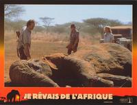 I Dreamed of Africa - 8 x 10 Color Photo #3