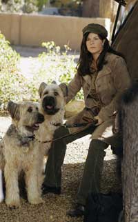 In from the Night (TV) - 8 x 10 Color Photo #011