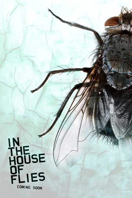 In the House of Flies movie