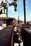 In the Line of Fire - 8 x 10 Color Photo #18