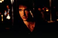 In the Line of Fire - 8 x 10 Color Photo #15