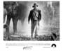 Indiana Jones and the Temple of Doom - 8 x 10 B&W Photo #16