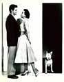It's a Dog's Life - 8 x 10 B&W Photo #3