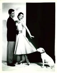 It's a Dog's Life - 8 x 10 B&W Photo #1