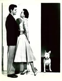 It's a Dog's Life - 8 x 10 B&W Photo #3