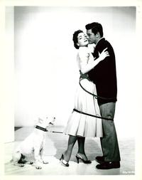 It's a Dog's Life - 8 x 10 B&W Photo #4