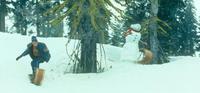 Jack Frost - 8 x 10 Color Photo #15