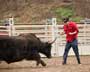 Jackass: Number Two - 8 x 10 Color Photo #16