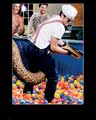 Jackass: Number Two - 8 x 10 Color Photo #22