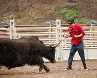 Jackass: Number Two - 8 x 10 Color Photo #16
