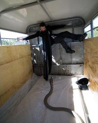 Jackass: Number Two - 8 x 10 Color Photo #20