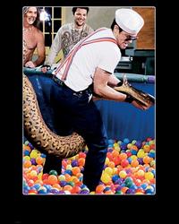 Jackass: Number Two - 8 x 10 Color Photo #22