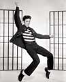 Jailhouse Rock - 8 x 10 B&W Photo #1