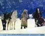 Jeremiah Johnson - 8 x 10 Color Photo #14