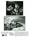 Jimmy Neutron: Boy Genius - 8 x 10 B&W Photo #3