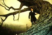 Johnny Depp - 8 x 10 Color Photo #87