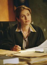 Judging Amy - 8 x 10 Color Photo #28