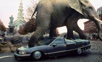 Jumanji - 8 x 10 Color Photo #1