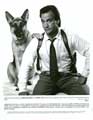 K-9 - 8 x 10 B&W Photo #1