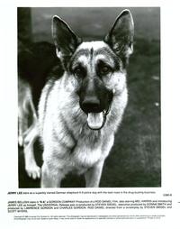 K-9 - 8 x 10 B&W Photo #8