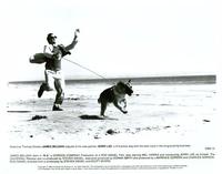 K-9 - 8 x 10 B&W Photo #10