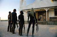 Kill Bill, Vol 2 - 8 x 10 Color Photo #4