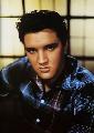 King Creole - 8 x 10 Color Photo #2