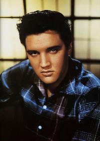 King Creole - 8 x 10 Color Photo #2