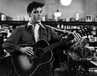 King Creole - 8 x 10 B&W Photo #4