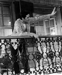 King Creole - 8 x 10 B&W Photo #5