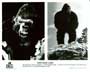King Kong Lives - 8 x 10 B&W Photo #4