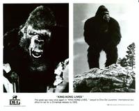 King Kong Lives - 8 x 10 B&W Photo #4