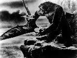 King Kong - 8 x 10 B&W Photo #8
