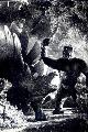 King Kong - 8 x 10 B&W Photo #20