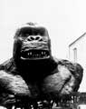 King Kong - 8 x 10 B&W Photo #26