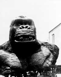 King Kong - 8 x 10 B&W Photo #26