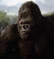 King Kong - 8 x 10 Color Photo #61