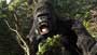 King Kong - 8 x 10 Color Photo #13