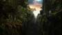 King Kong - 8 x 10 Color Photo #15