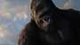 King Kong - 8 x 10 Color Photo #23