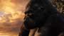 King Kong - 8 x 10 Color Photo #27