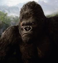 King Kong - 8 x 10 Color Photo #61