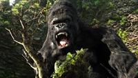 King Kong - 8 x 10 Color Photo #13