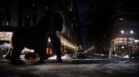 King Kong - 8 x 10 Color Photo #17