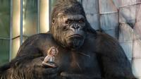 King Kong - 8 x 10 Color Photo #26