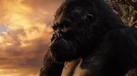 King Kong - 8 x 10 Color Photo #27